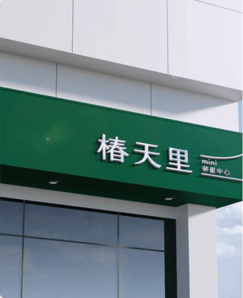 椿天里 
